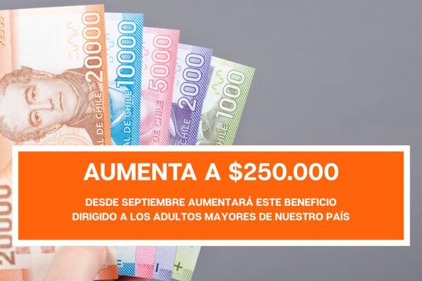 PGU en Chile: quiénes reciben desde septiembre el aumento a $250 mil y cuándo se aplicará al resto