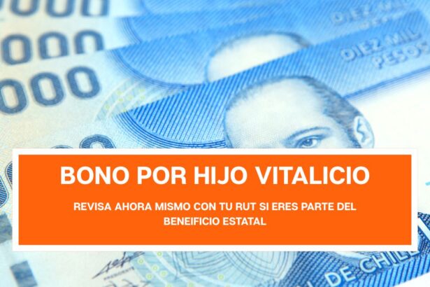 Bono por Hijo Vitalicio : Revisa quiénes reciben el beneficio