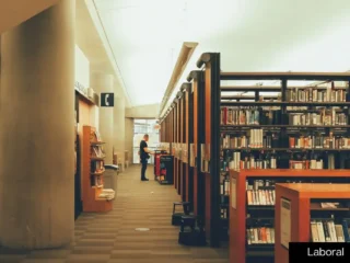 Sueldos de hasta $6,3 millones: empleos en el Estado sin requisito de experiencia laboral