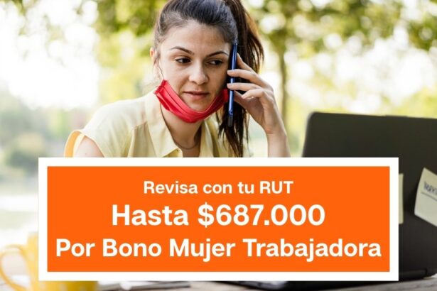 Consulta con RUT si recibiste $678.000 por bono mujer trabajadora