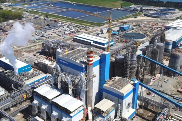 Arauco marca un hito financiero con emisión récord de bono híbrido sostenible por más de US$ 800 millones
