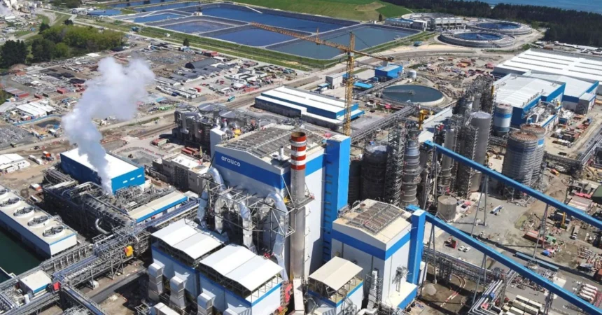 Arauco marca un hito financiero con emisión récord de bono híbrido sostenible por más de US$ 800 millones