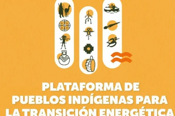 Pueblos originarios podrán postular a la Plataforma de Pueblos Indígenas para la Transición Energética