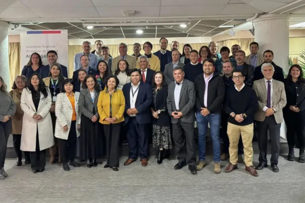 Más de 150 personas participaron en los talleres regionales de la Estrategia Nacional de Minerales Críticos