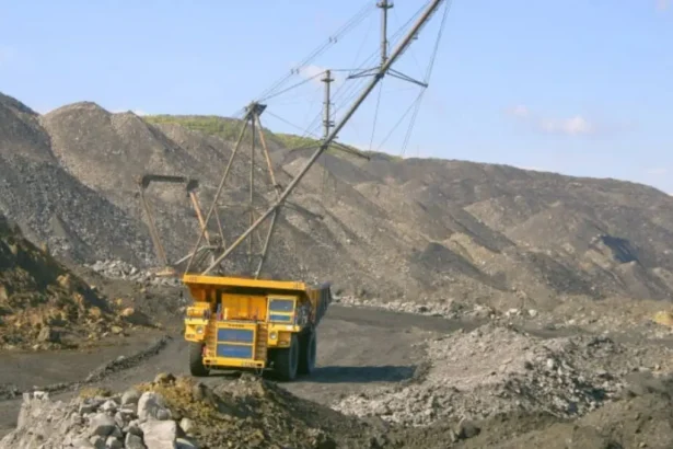 Medidas de la SMA para proteger el desierto florido en Atacama.