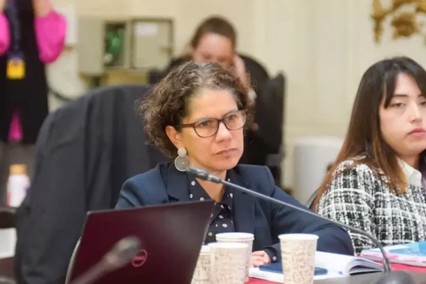 Conflicto minero-ambiental: Sonami y Ministra enfrentados por conservación prioritaria