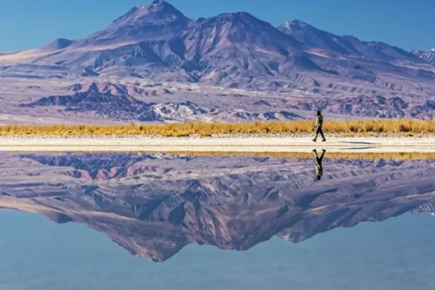 Albemarle bajo la lupa: revisión de su RCA en Atacama preocupa