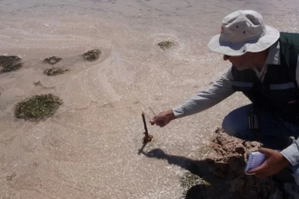 Se admite a trámite la reclamación de Albemarle contra la SMA luego de ser sancionada con multa cercana a los cuatro mil millones de pesos