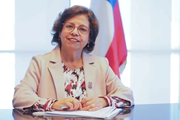 Ministra de Minería lidera visita de delegación chilena en Alemania con énfasis en explorar oportunidades científicas en litio y geología