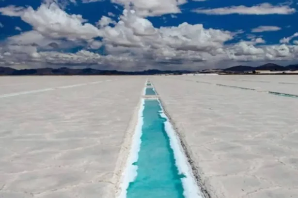 Argentina: Trazaron la nueva hoja de ruta del litio para los próximos 10 años