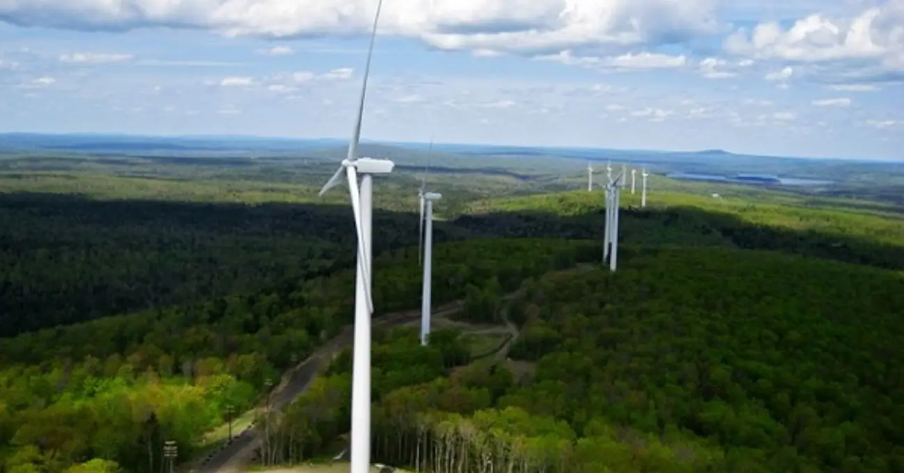Aprueban parque eólico Ovejera Sur con inversión de US$ 280 millones en la Región de Los Ríos