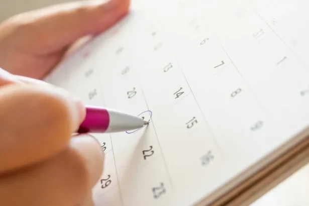 Feriados que quedan en 2025: revisa las fechas y cuáles serán irrenunciables