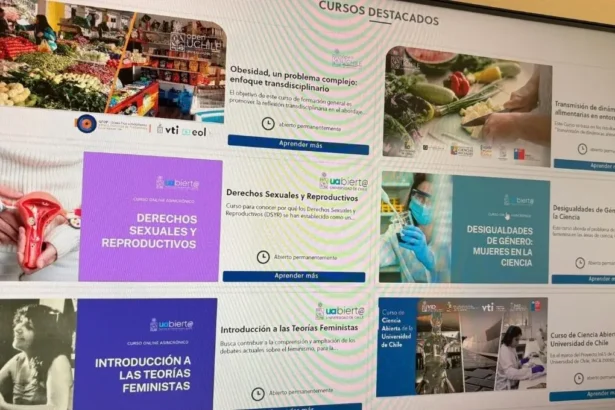 Universidad de Chile ofrece cursos gratuitos en su plataforma Open UChile