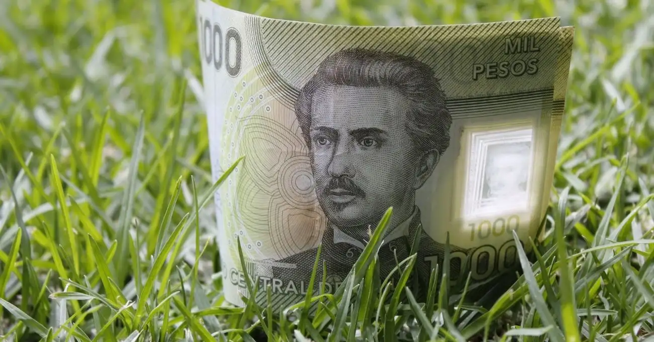 Estado pagará distintos beneficios a cesantes en octubre: ¿Cuáles son las ayudas disponibles?