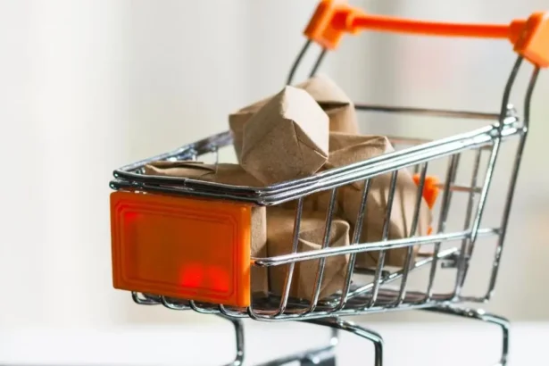 Cobro de IVA a compras internacionales: a quiénes aplica, cuándo empieza y en qué fijarte