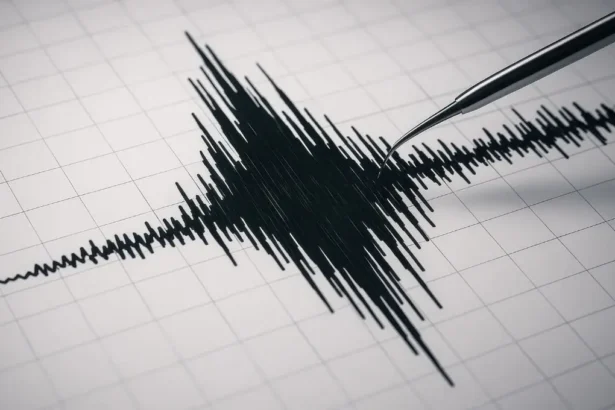 "Estado de precaución" en territorio antártico tras fuerte temblor: Piden evacuar zona de playa por amenaza de tsunami