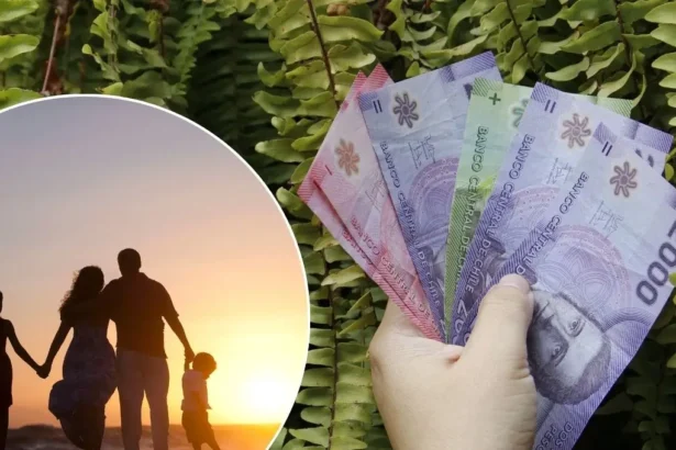 Asignación Familiar: Este es el nuevo grupo que puede recibir los pagos mensuales