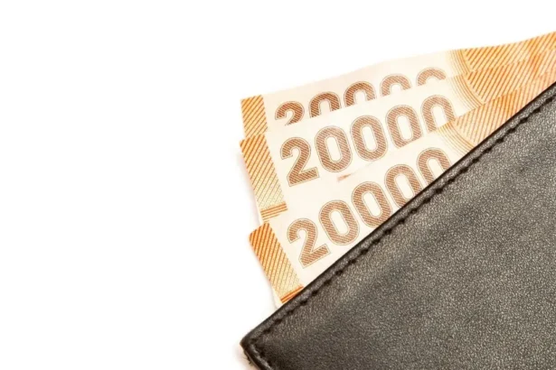 Bono al Trabajo de la Mujer: Revisa con tu RUT si puedes recibir hasta $678 mil