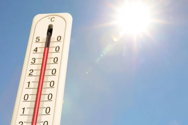 Altas temperaturas persisten en Chile: pronóstico climático para el centro-sur