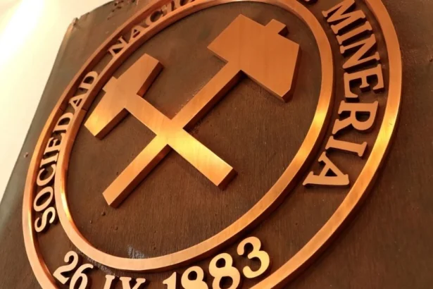 SONAMI exige transparencia en ley SBAP y revisión de sitios