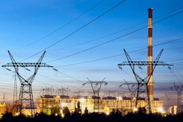 Consumo de carbón al alza y alarma la pérdida forestal