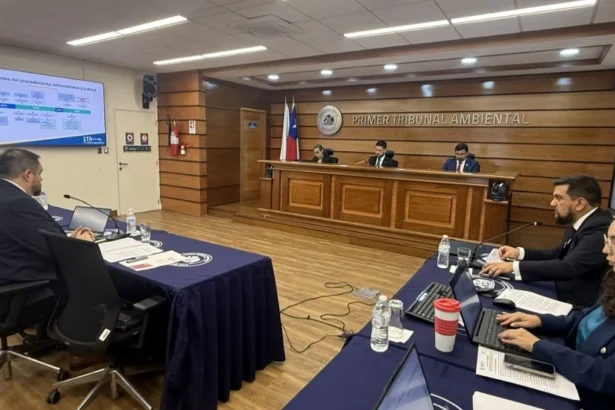 Impugnación a proyecto fotovoltaico en Chile por falta de consulta indígena