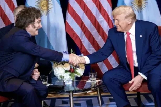 La Alianza Minera entre Estados Unidos y Argentina se Afianza tras el Éxito Electoral de Milei