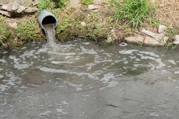 Gestión de Aguas Grises en Chile: Ampliación del Marco Ambiental mediante Nuevas Directrices