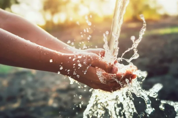 Colaboración público-privada para enfrentar la crisis hídrica en comunidades rurales de Chile