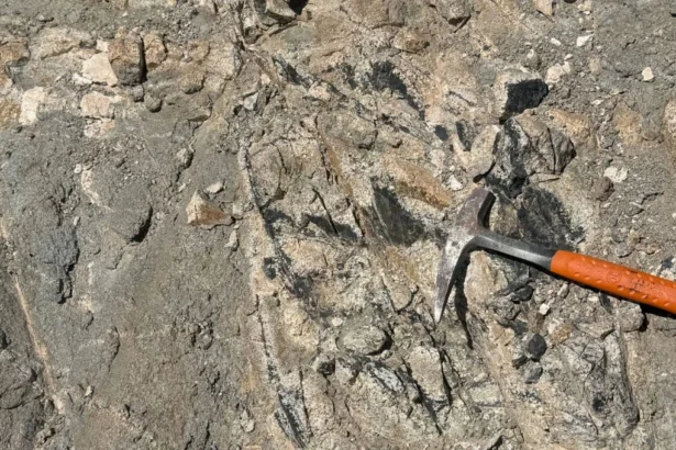 Primeras perforaciones en Cuprita: prometedor inicio en Chile