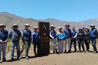 La Cámara Minera de Chile visitó toda la infraestructura que conforma el Proyecto Dominga