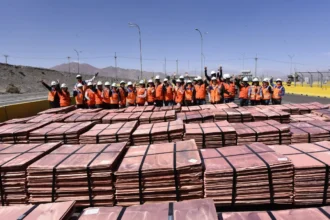 26 micro y pequeñas empresas realizan pionera visita técnica a minera El Abra