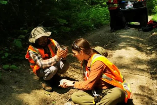 Dryden Gold expande el campamento Gold Rock con descubrimientos de alta calidad en Mud Lake