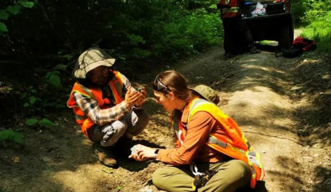 Dryden Gold expande el campamento Gold Rock con descubrimientos de alta calidad en Mud Lake