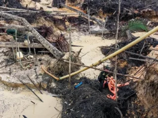 Colombia prohíbe minería y petróleo en Amazonía para combatir deforestación y proteger biodiversidad