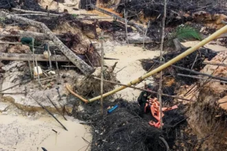 Colombia prohíbe minería y petróleo en Amazonía para combatir deforestación y proteger biodiversidad