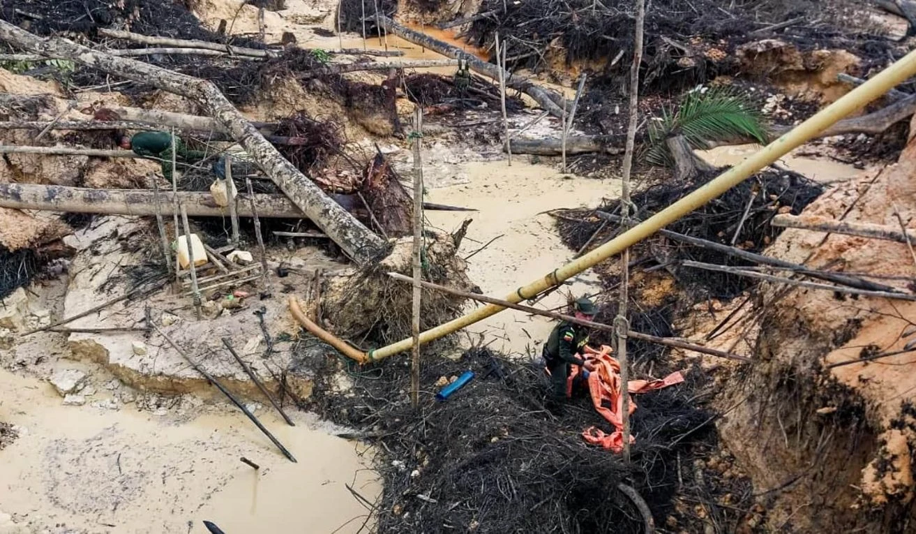 Colombia prohíbe minería y petróleo en Amazonía para combatir deforestación y proteger biodiversidad