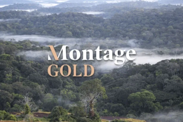 Montage Gold anuncia la adquisición de African Gold