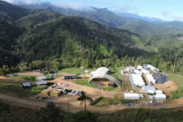 SolGold descarta propuesta de Jiangxi en un mercado del cobre marcado por una ola de adquisiciones