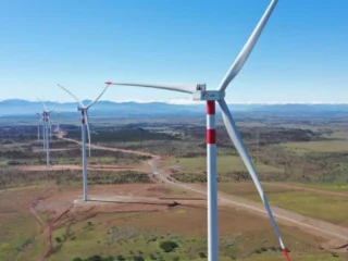 SMA inicia procedimiento sancionatorio contra Parque Eólico La Estrella por afectación a cóndores andinos