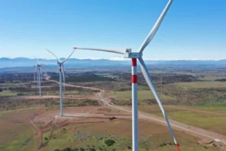 SMA inicia procedimiento sancionatorio contra Parque Eólico La Estrella por afectación a cóndores andinos