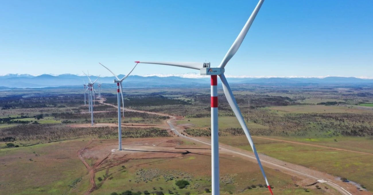 SMA inicia procedimiento sancionatorio contra Parque Eólico La Estrella por afectación a cóndores andinos