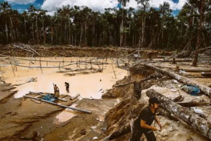 Minería ilegal en Perú moviliza US$ 22.800 millones en una década, revela UIF