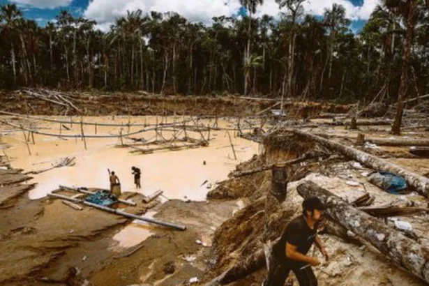 Minería ilegal en Perú moviliza US$ 22.800 millones en una década, revela UIF