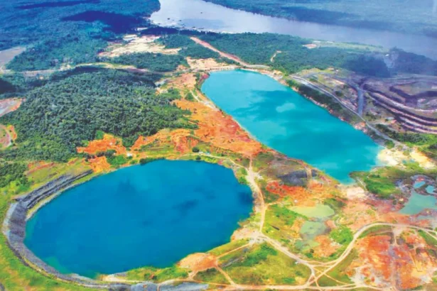 Omai Gold Mines amplía depósito Wenot en Guyana con alto potencial aurífero