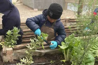 Distrito Candelaria Lundin Mining impulsa acciones de bienestar comunitario en Nantoco