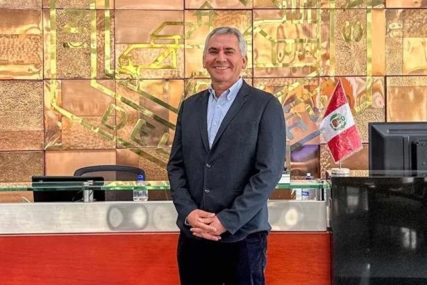 Gerente del IIMP critica Reinfo y propone incentivos para formalizar minería