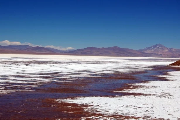 Investigación Estratégica Cuantifica la Singularidad de Chile en la Gobernanza del Litio