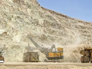 Sofofa alerta impactos del Sistema de Biodiversidad en empleo e inversión en Chile