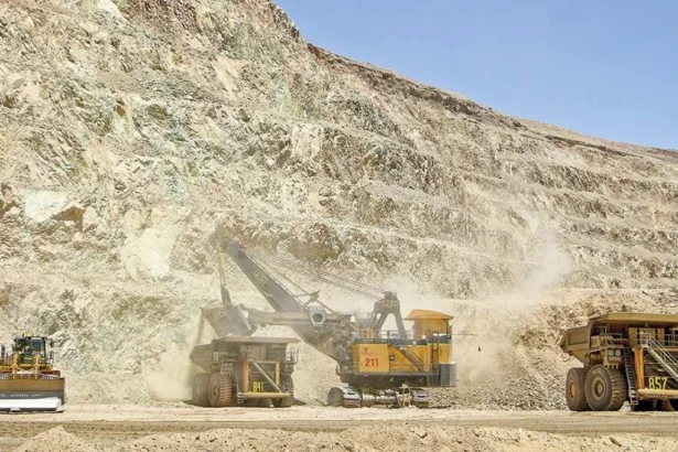 Sofofa alerta impactos del Sistema de Biodiversidad en empleo e inversión en Chile